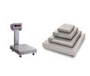Electronic Floor Scales Product Image